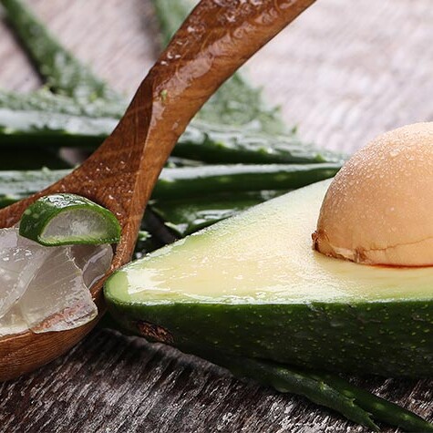 folhas de babosa para mostrar os benefícios do aloe vera