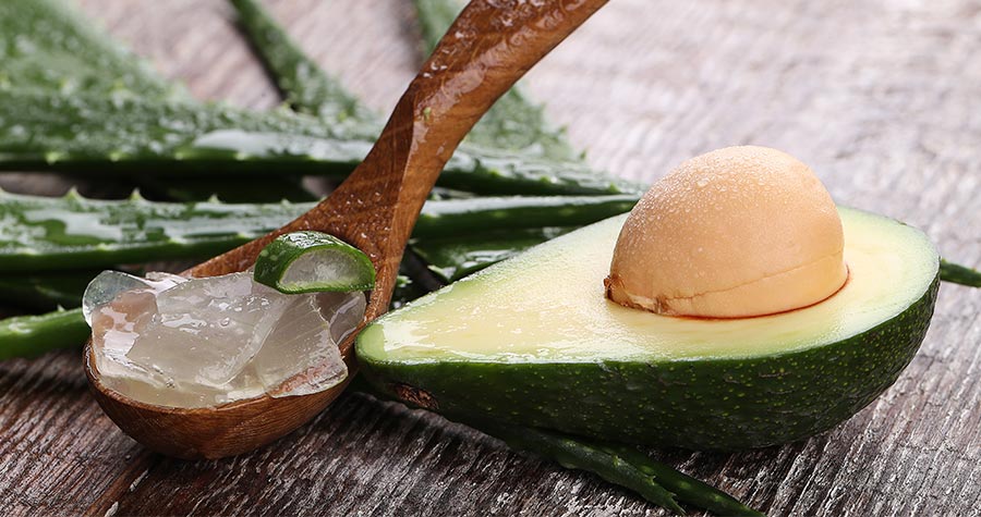 folhas de babosa para mostrar os benefícios do aloe vera