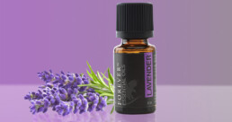 As utilidades do óleo essencial lavender